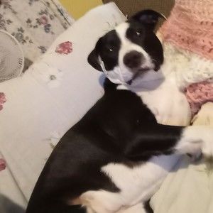 Meet your Posher, Gloria